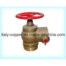 Customized Forged Brass Fire Hydrant Valve (AV4064)